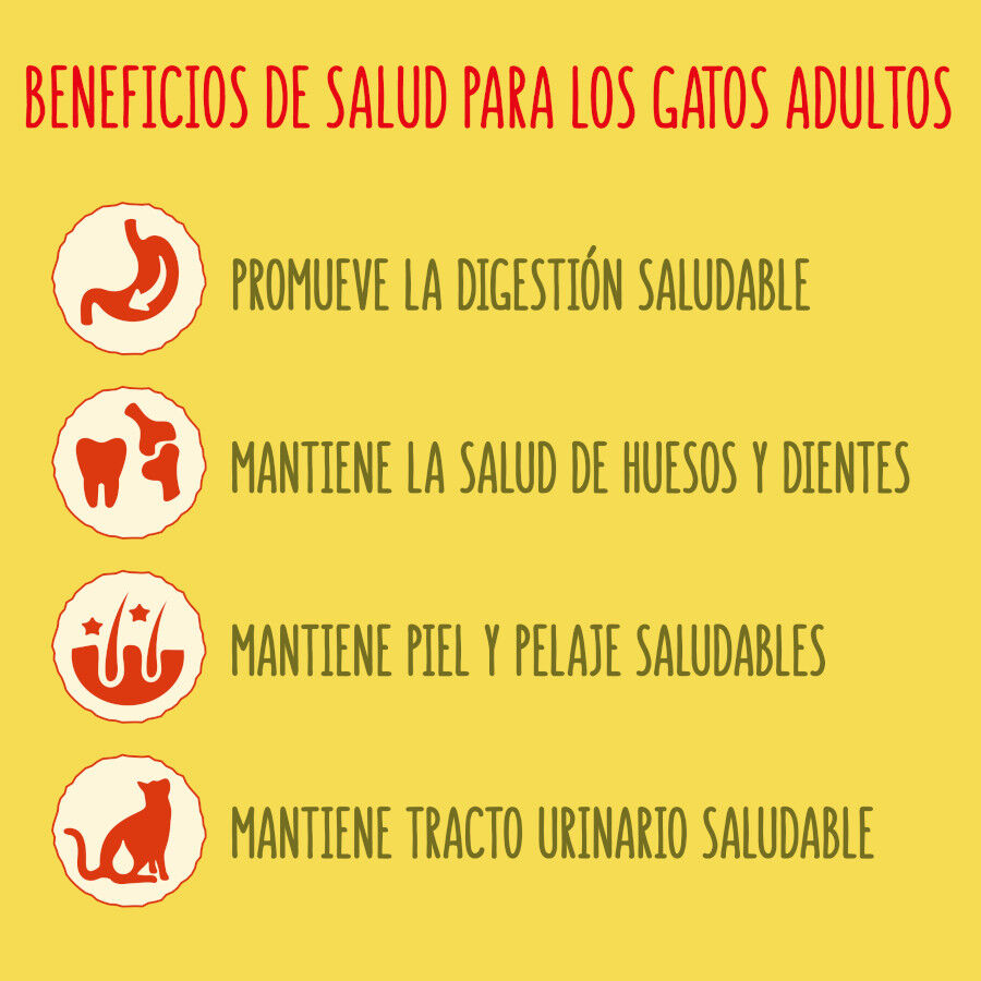 20 kg Friskies Coelho e Frango ra&ccedil;&atilde;o para gatos, , large Imagem n&uacute;mero 6