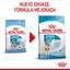 Royal Canin Mini Starter MothereBaby ração para cães, , large Indicador imagem número 3