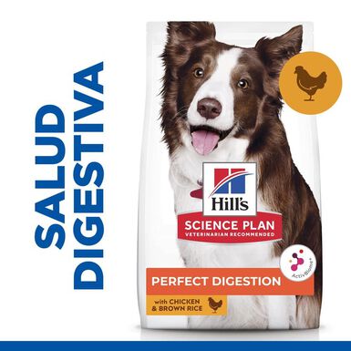 Hill's Adult Science Plan Perfect Digestion Frango ração para cães