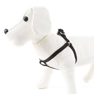 Nayeco Basic Peitoral Preto para cães