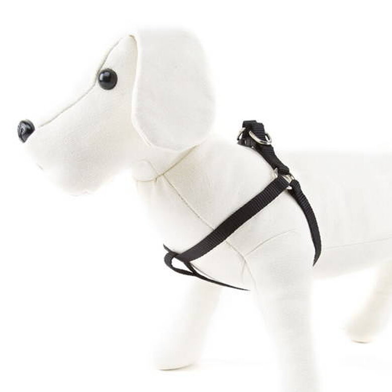 accesorio_perro_nayeco_basic_negro_arnes_NAYPE68533_M Imagem número 1 Nayeco Basic arnés para perros negro Imagem número 1