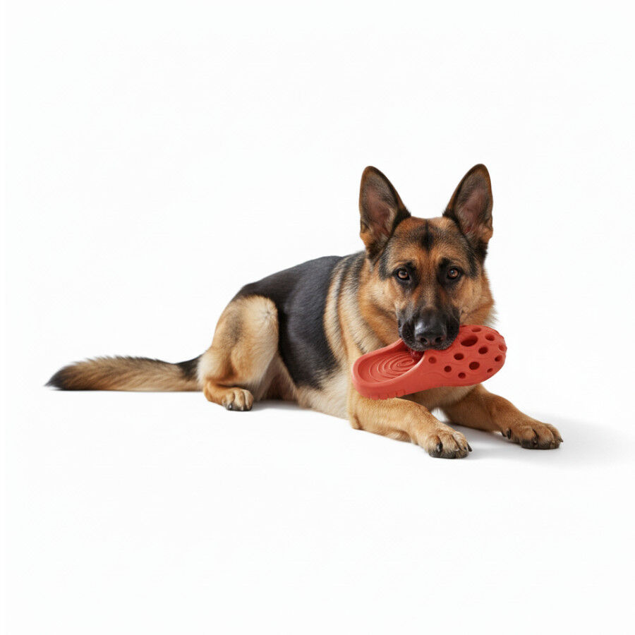 All For Paws Pantufas Air Pups Brinquedo para c&atilde;es, , large Imagem n&uacute;mero 2