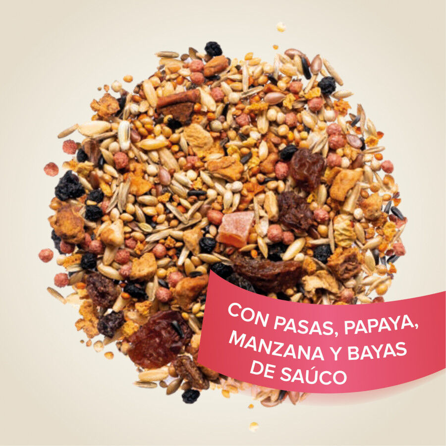 Beaphar sementes de frutas para p&aacute;ssaros, , large Imagem n&uacute;mero 2