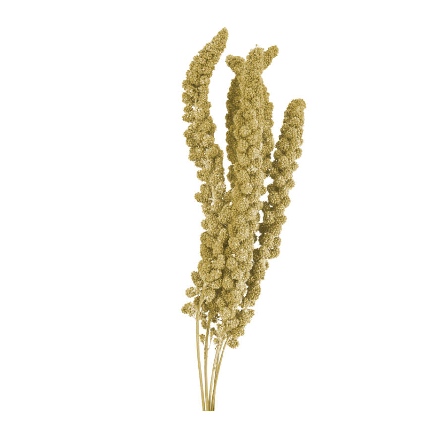 500 g Small Life Panizo amarelo para p&aacute;ssaros, , large Imagem n&uacute;mero 2