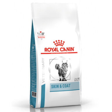 Royal Canin Skin&Coat ração para gatos