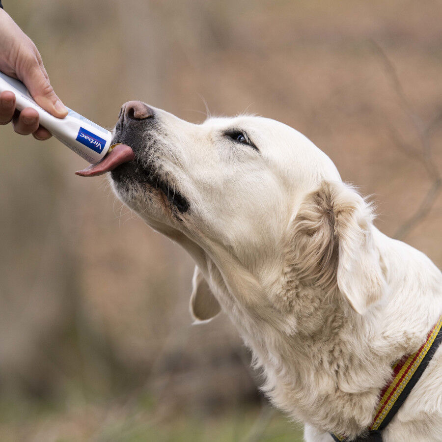 120 g Virbac Nutri-plus Gel Suplemento para c&atilde;es e gatos, , large Imagem n&uacute;mero 5