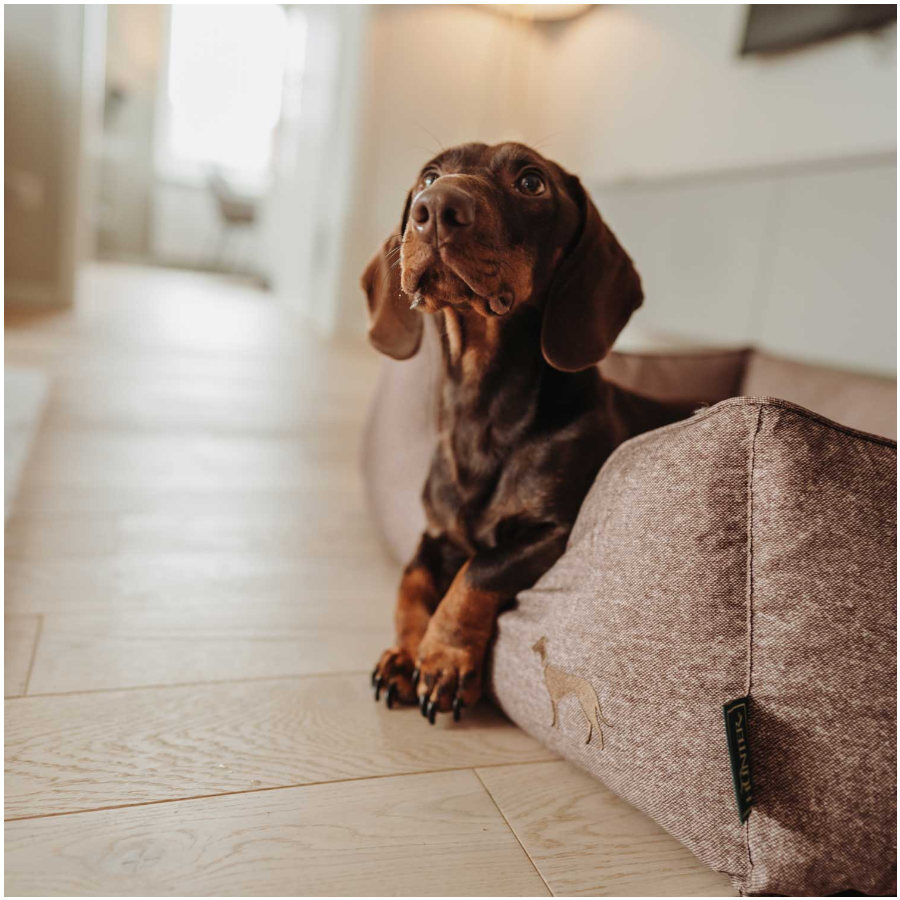 Hunter Boston Cozy Sof&aacute; Castanho para c&atilde;es, , large Imagem n&uacute;mero 5