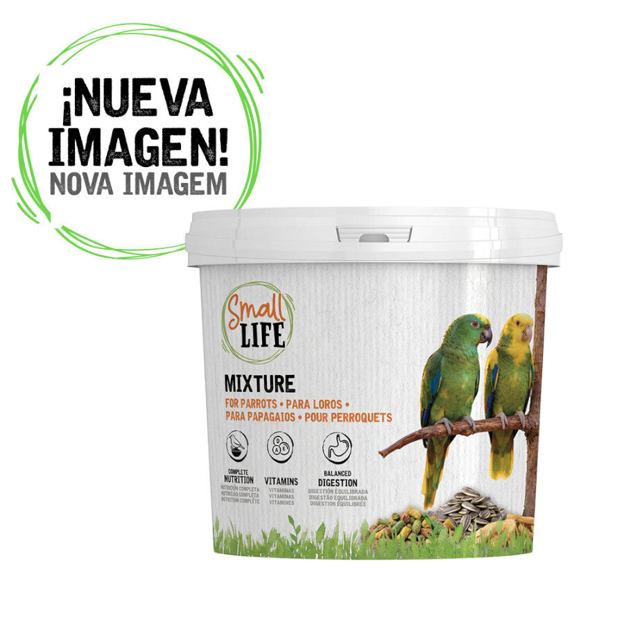 2.8 kg Small Life Mixtura Cubos para papagaios, , large Imagem n&uacute;mero 1