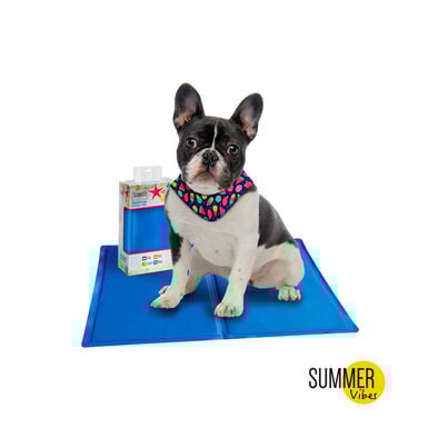 Summer Vibes Cool Tapete refrescante para cães e gatos
