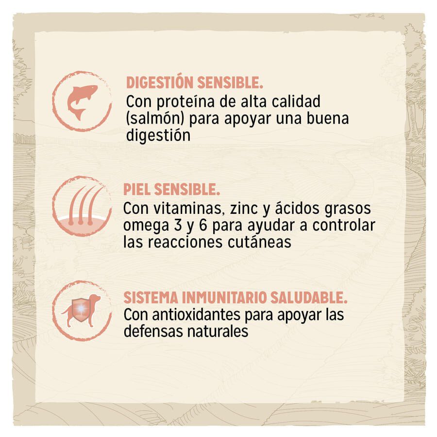 2.5 kg Dog Chow Sensitive com salm&atilde;o ra&ccedil;&atilde;o para c&atilde;es, , large Imagem n&uacute;mero 2