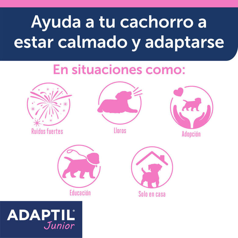 Adaptil Junior Coleira Anti-stress para cães,  Imagem número 4 Adaptil Junior Coleira Anti-stress para cães, , large Imagem número 4