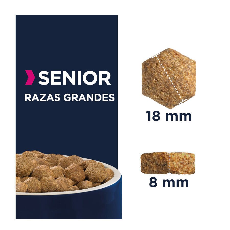 12 kg Eukanuba Senior Large Frango ra&ccedil;&atilde;o para c&atilde;es, , large Imagem n&uacute;mero 2