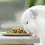Gourmet Perle Duo Fatias finas com peixe em molho para gatos - Pack, , large Indicador imagem número 3