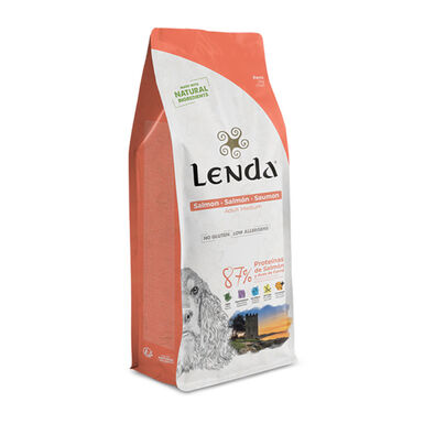 Lenda Original Salmão ração para cães