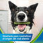 7 sticks Dentalife Snacks Dentários Small ActivFresh para cães, , large Indicador imagem número 7