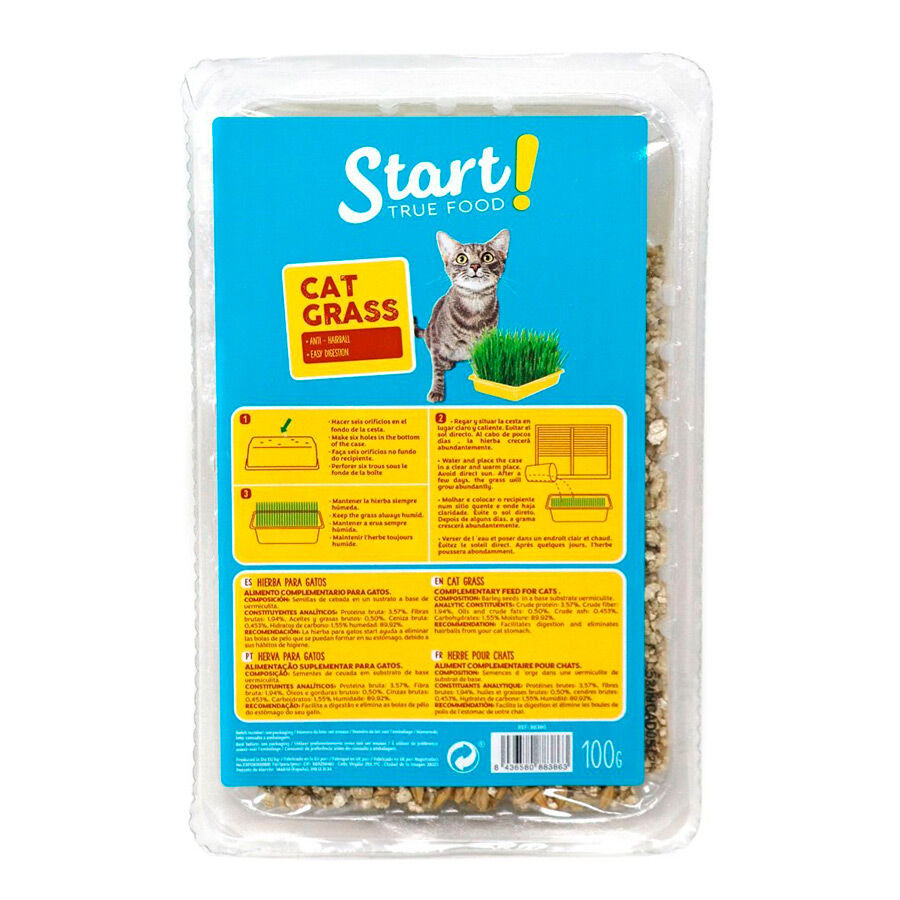 100 g Start Erva gateira para gatos, , large Imagem n&uacute;mero 1