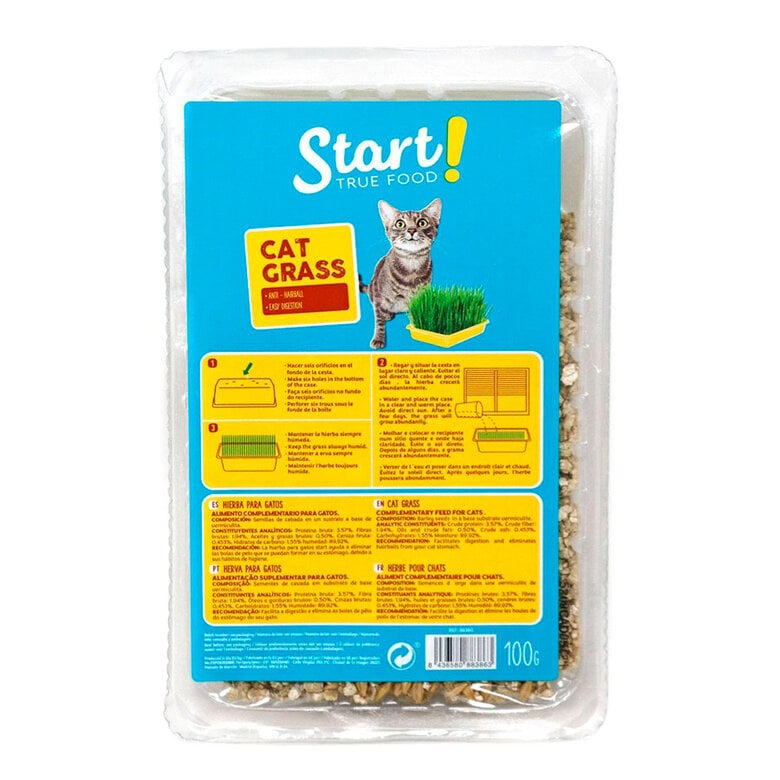 100 g Start Erva gateira para gatos,  Imagem número 1 100 g Start Erva gateira para gatos, , large Imagem número 1