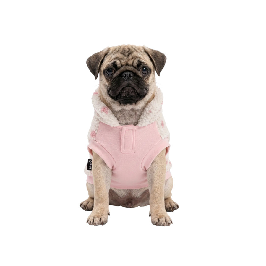 Gotoo Camisola com Padr&atilde;o de Estrelas para c&atilde;es, , large Imagem n&uacute;mero 7