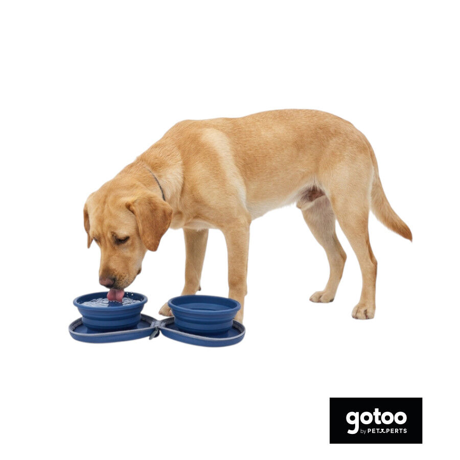 Gotoo Comedouro Port&aacute;til Duplo em Silicone Azul para c&atilde;es, , large Imagem n&uacute;mero 7