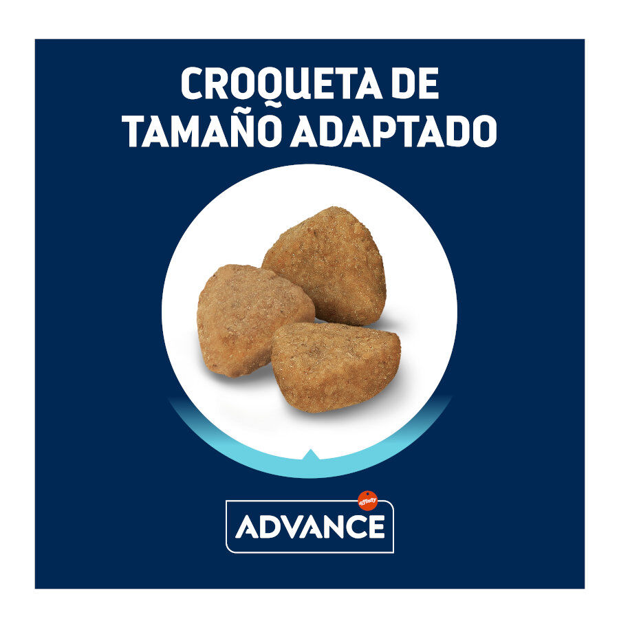 1.5 kg Advance Active Defense Sterilized +10 frango e cevada ra&ccedil;&atilde;o para gatos, , large Imagem n&uacute;mero 3
