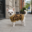 Gotoo Camisola de Malha com Padr&atilde;o Leopardo para c&atilde;es, , large Indicador imagem n&uacute;mero 1