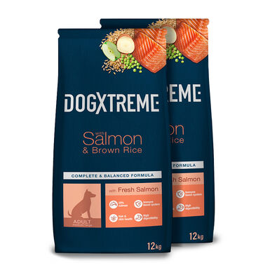 Dogxtreme Salm&atilde;o e arroz - 2x12 kg Pack Poupan&ccedil;a