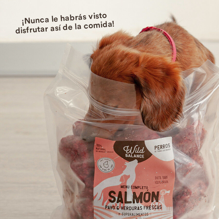 1 kg Wild Balance BARF Salm&atilde;o com Legumes Frescos alimenta&ccedil;&atilde;o natural congelada para c&atilde;es, , large Imagem n&uacute;mero 6