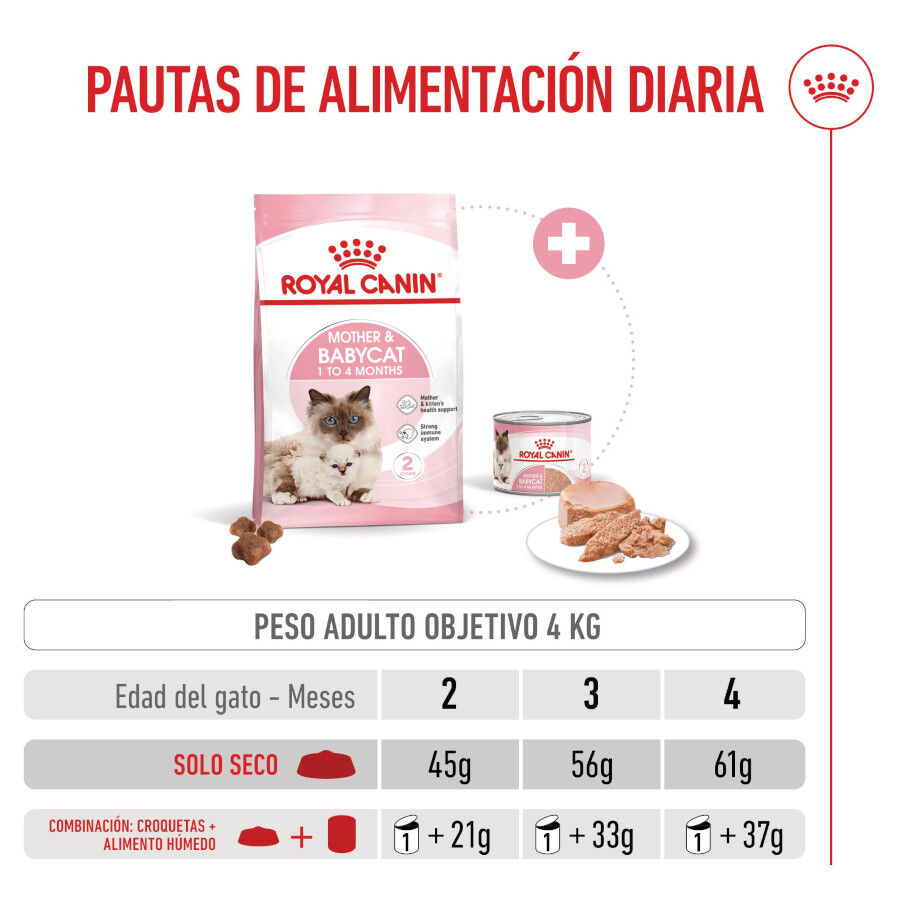 2 x 4 kg Royal Canin Mother & Baby ra&ccedil;&atilde;o para gatos Pack poupan&ccedil;a!, , large Imagem n&uacute;mero 8