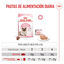 10 kg Royal Canin Mother & Baby ração para gatos, , large Indicador imagem número 8