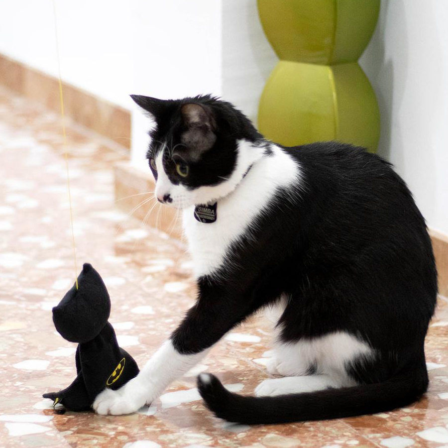 DC Comics Batman Vara para gatos, , large Imagem n&uacute;mero 4