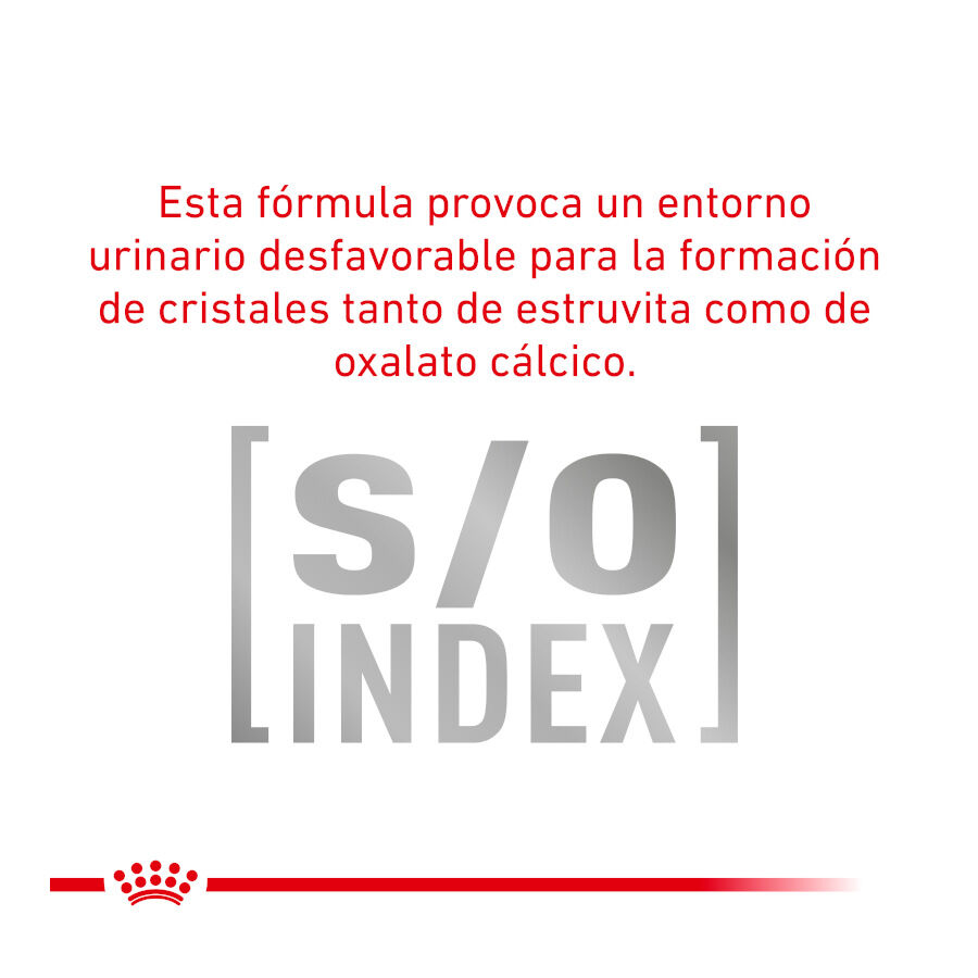 12 saquetas x 85 g Royal Canin Adult Veterinary Urinary pat&eacute; sobre para gatos, , large Imagem n&uacute;mero 4