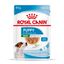 85 g Royal Canin Mini Puppy alimento húmido em molho saquetas para cães, , large Indicador imagem número 1
