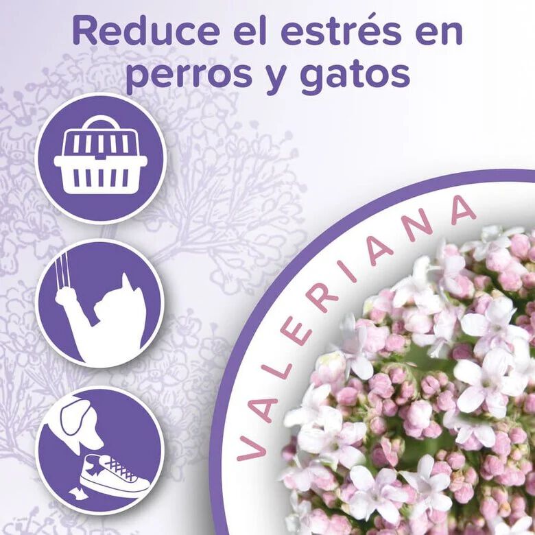 Beaphar Calming spray relaxante para gatos, , large Imagem n&uacute;mero 3