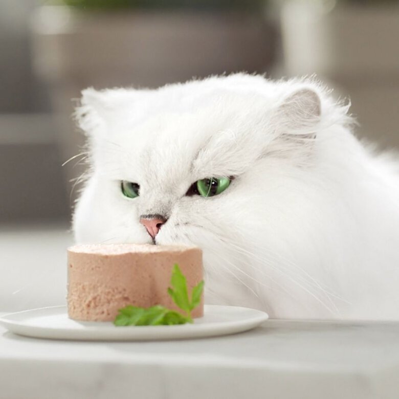 Gourmet Gold Mousse Sabores Variados lata para gatos, , large image number null