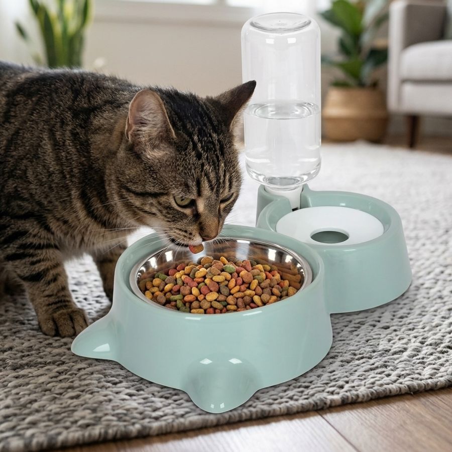 Leeby Comedouro e Dispensador de &Aacute;gua 2 em 1 em A&ccedil;o Inoxid&aacute;vel Verde para gatos, , large Imagem n&uacute;mero 1