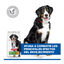 14 kg Hill's Science Plan Large Mature Adult YouthFul Vitality Frango ra&ccedil;&atilde;o para c&atilde;es, , large Indicador imagem n&uacute;mero 6