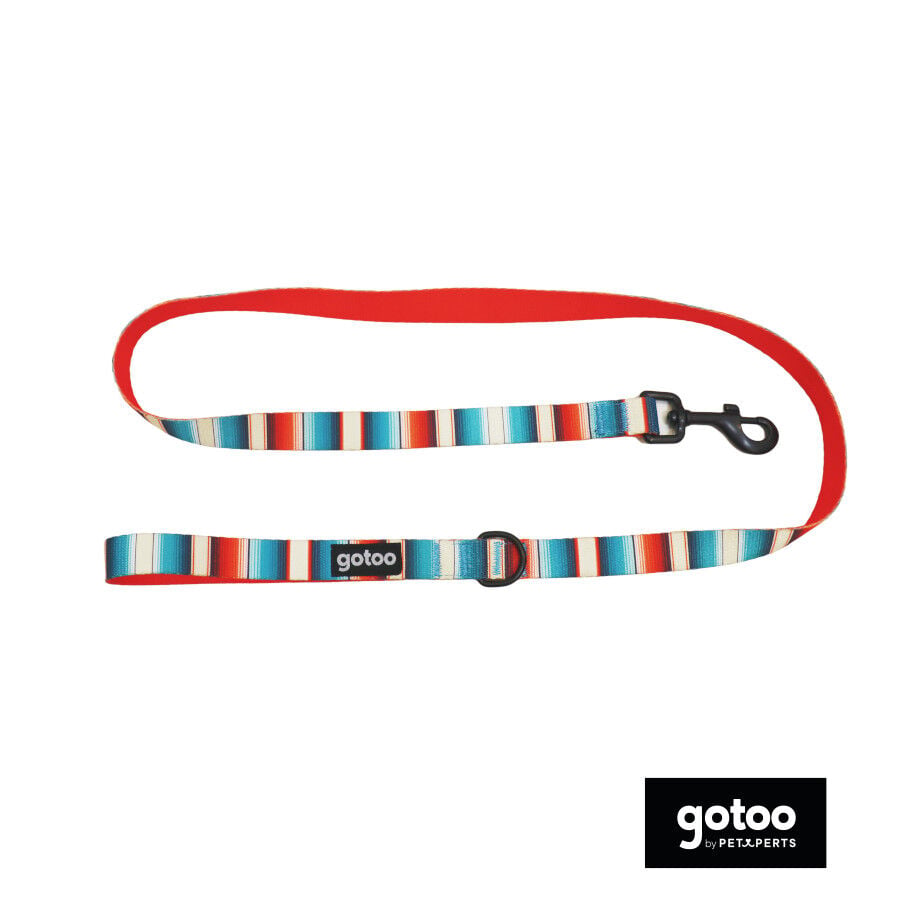 Gotoo Coleira estampada com listras coloridas para c&atilde;es, , large Imagem n&uacute;mero 2