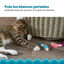 Outward Hound Catstages Dental Shrimpies Peluches com Penas para gatos, , large Indicador imagem número 6