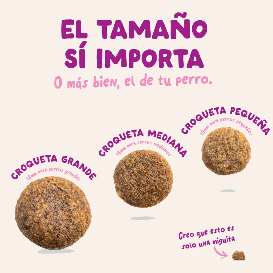 3 kg Edgard & Cooper Pienso Pato y Pollo para cachorros mini, , large Imagem n&uacute;mero 4