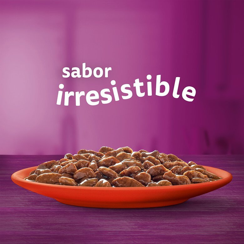 48 saquetas x 85 g Whiskas Seleção Clássica Saquetas em Molho para Gatos,  Imagem número 2 48 saquetas x 85 g Whiskas Seleção Clássica Saquetas em Molho para Gatos, , large Imagem número 2