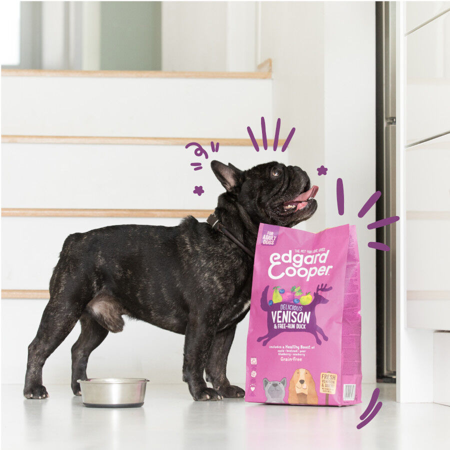 12 kg Edgard & Cooper Adult ra&ccedil;&atilde;o Veado e Pato para c&atilde;es, , large Imagem n&uacute;mero 3