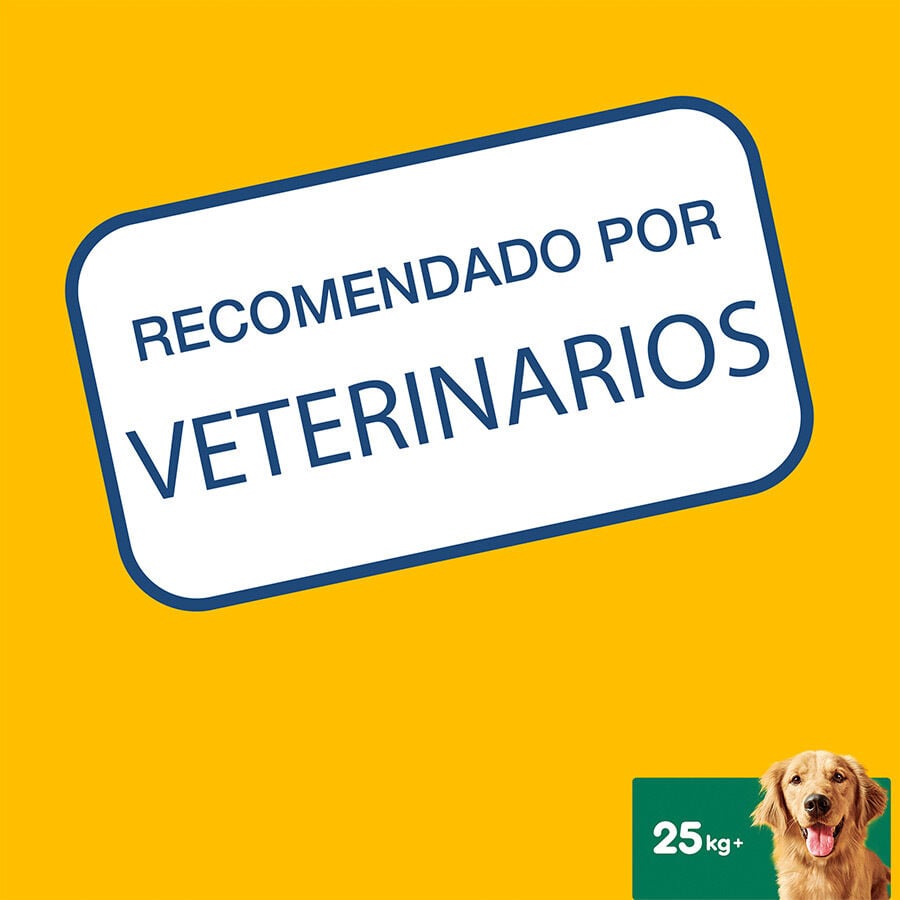 112 sticks Pedigree Dentastix Snacks Dent&aacute;rios para c&atilde;es de porte grande, , large Imagem n&uacute;mero 9
