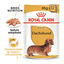 85 g Royal Canin Saquetas de Patê para Teckel, , large Indicador imagem número 2