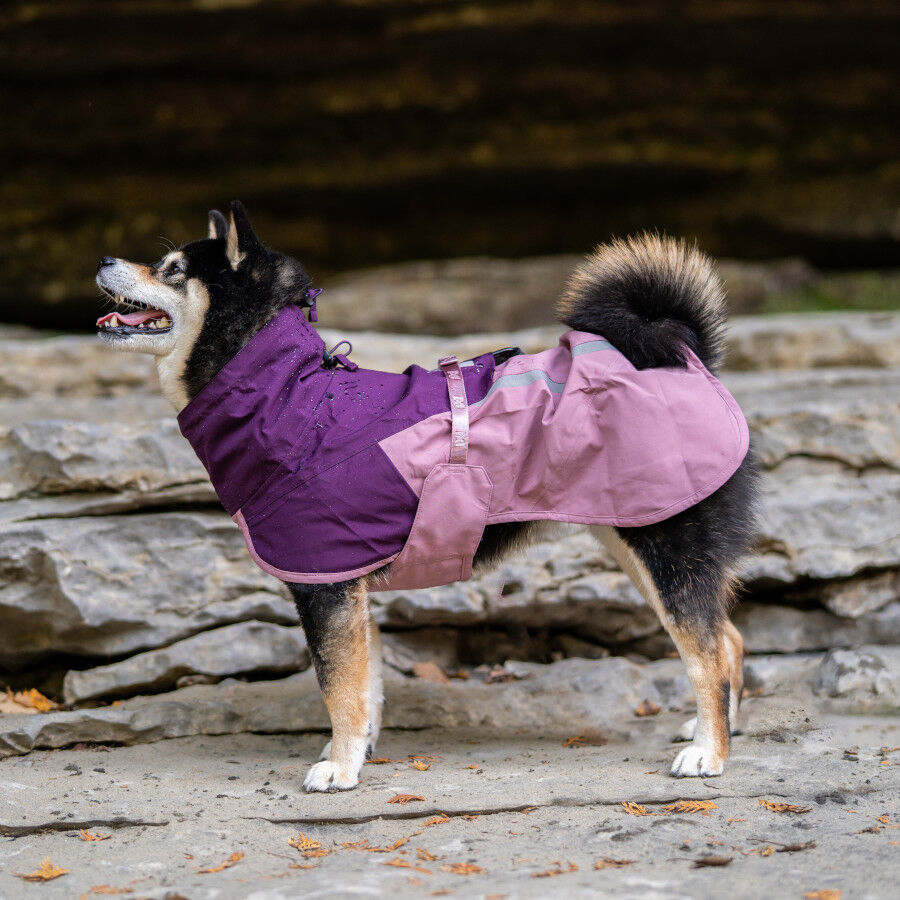 Non-stop Dogwear Capa de Chuva Imperme&aacute;vel Malva para c&atilde;es, , large Imagem n&uacute;mero 2