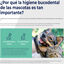 Ecuphar Plaqtiv+ Toalhetes Dentários para cães e gatos, , large Indicador imagem número 2
