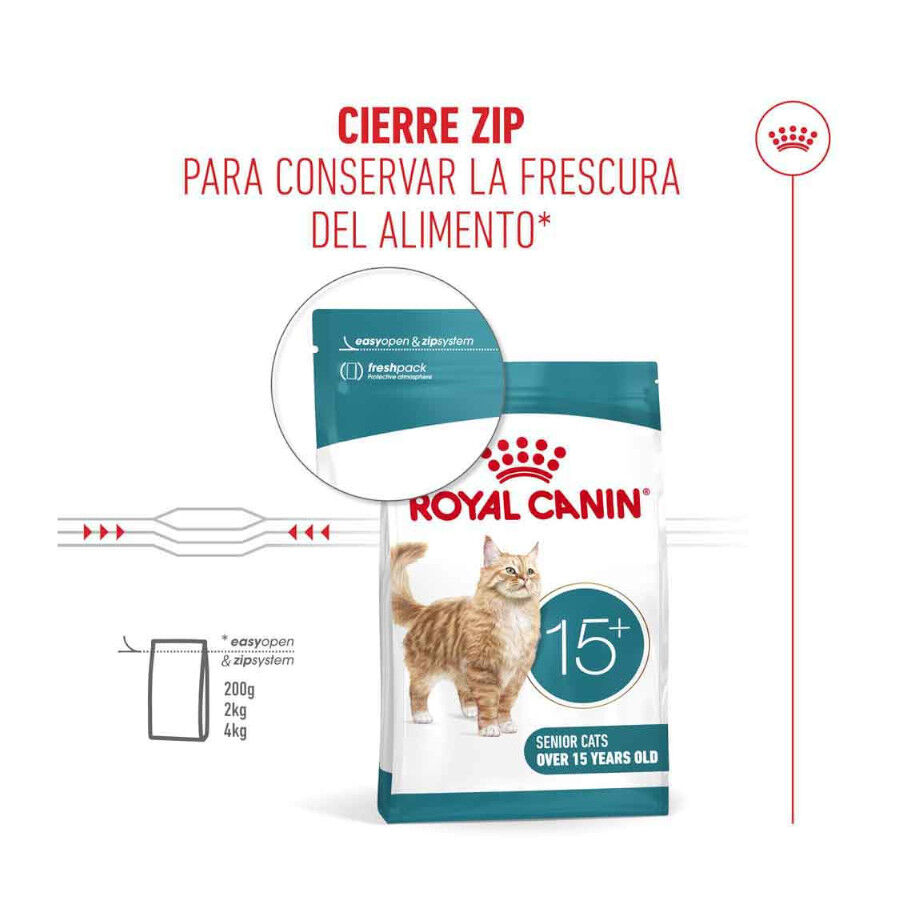 4 kg Royal Canin Ageing +15 Ra&ccedil;&atilde;o para gato s&eacute;nior, , large Imagem n&uacute;mero 6