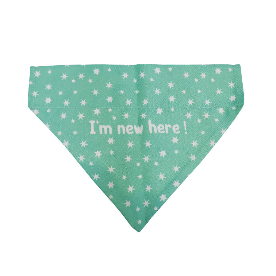 Gotoo Bandana estampada verde para c&atilde;es, , large Imagem n&uacute;mero 1