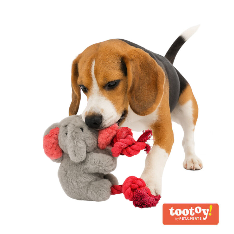 Tootoy! Comfort Climbing Elephant Cuddler peluche para c&atilde;es, , large Imagem n&uacute;mero 2