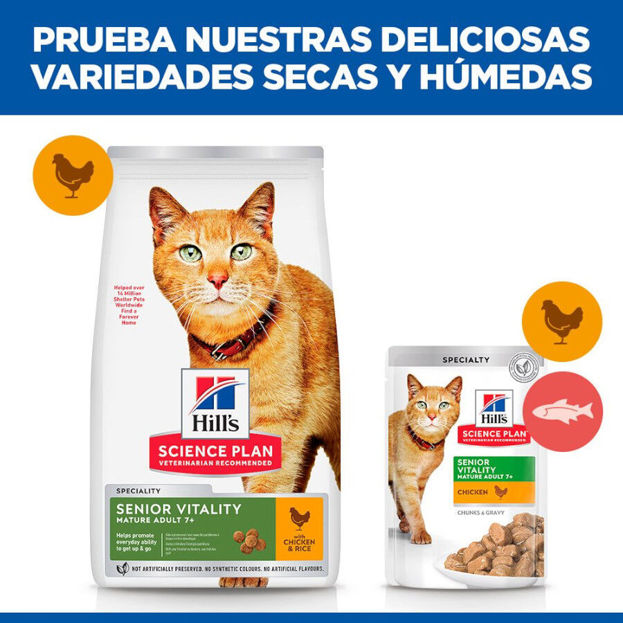 1.5 kg Hill's Science Plan Youthful Vitality Frango ra&ccedil;&atilde;o para gatos, , large Imagem n&uacute;mero 6