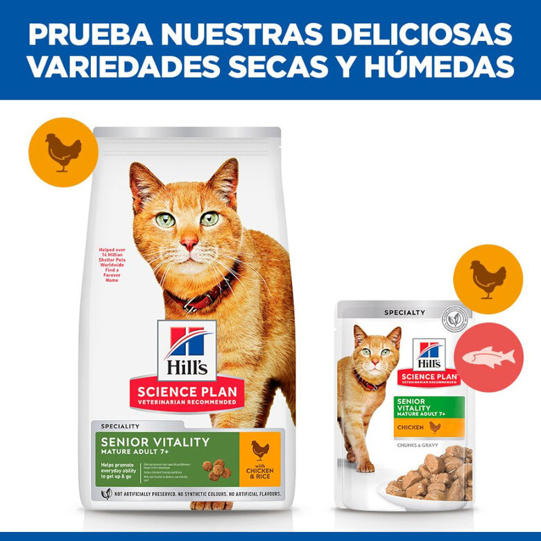 1.5 kg Hill's Science Plan Youthful Vitality Frango ração para gatos,  Imagem número 6 1.5 kg Hill's Science Plan Youthful Vitality Frango ração para gatos, , large Imagem número 6